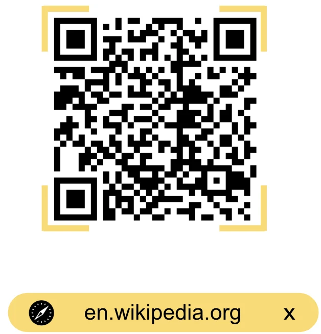 iPhone camera detecting the QR — it only shows en.wikipedia.org